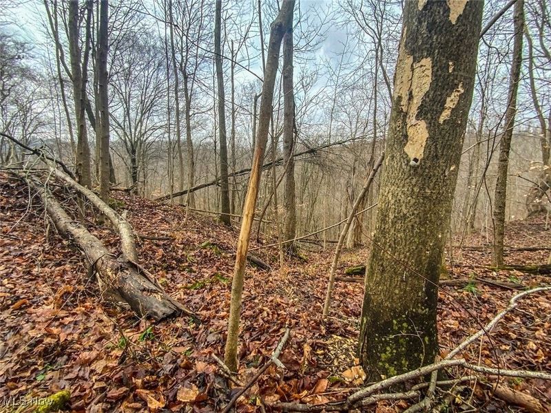 0 New Cut Rd, Shadyside, OH 43947 Photo 20