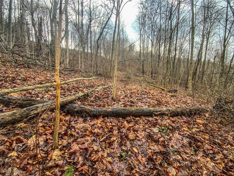 0 New Cut Rd, Shadyside, OH 43947 Photo 21