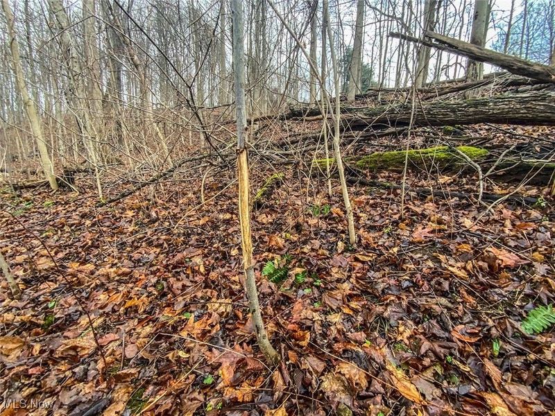 0 New Cut Rd, Shadyside, OH 43947 Photo 22