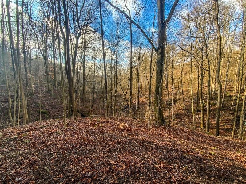 0 New Cut Rd, Shadyside, OH 43947 Photo 3