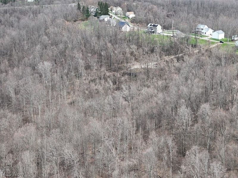 0 New Cut Rd, Shadyside, OH 43947 Photo 34