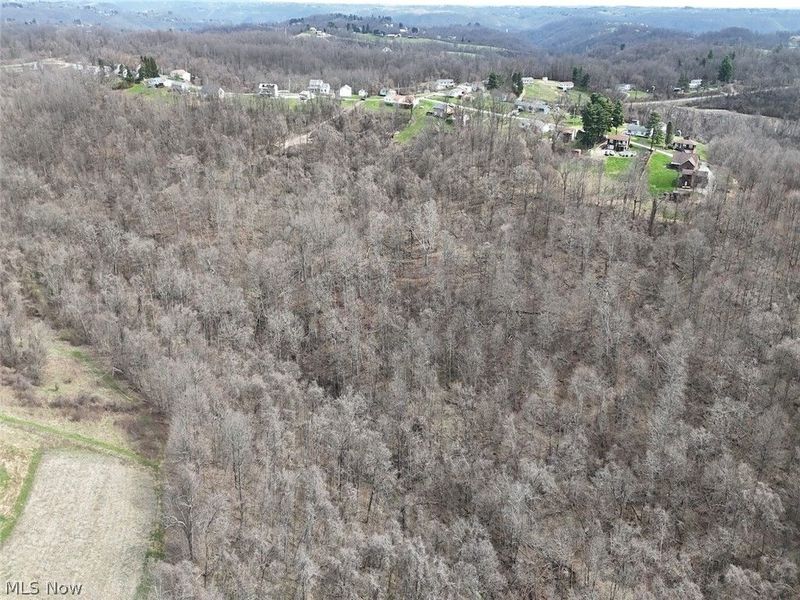 0 New Cut Rd, Shadyside, OH 43947 Photo 37