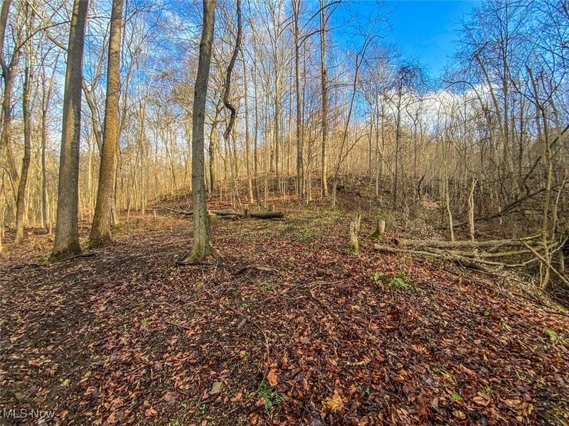 0 New Cut Rd, Shadyside, OH 43947 Photo 4