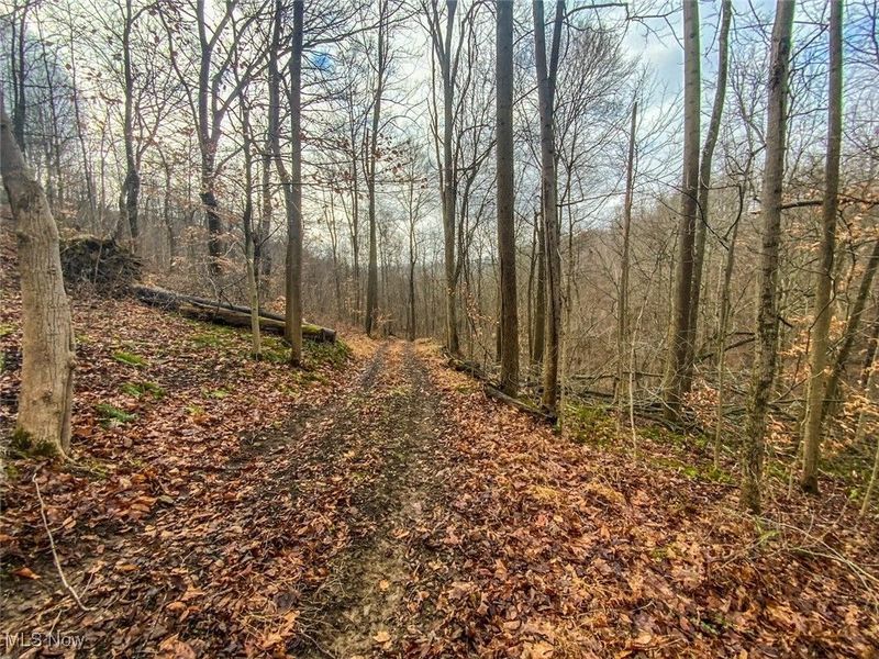 0 New Cut Rd, Shadyside, OH 43947 Photo 5