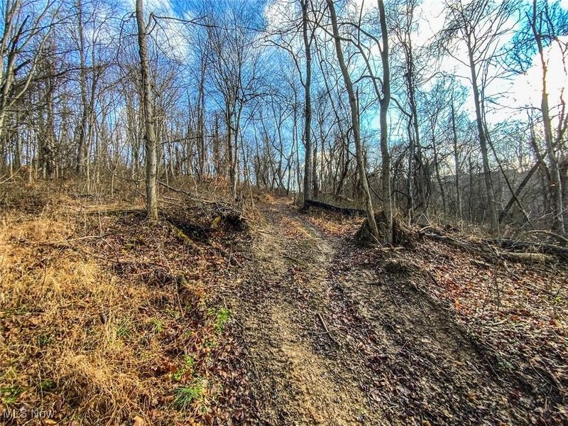 0 New Cut Rd, Shadyside, OH 43947 Photo 6