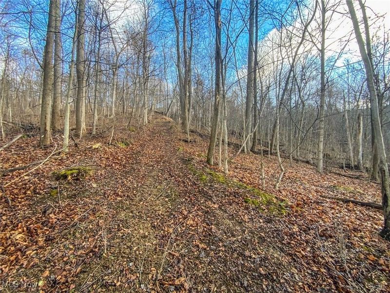 0 New Cut Rd, Shadyside, OH 43947 Photo 7