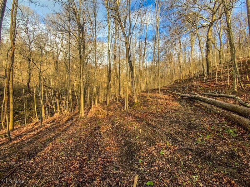 0 New Cut Rd, Shadyside, OH 43947 Photo 8