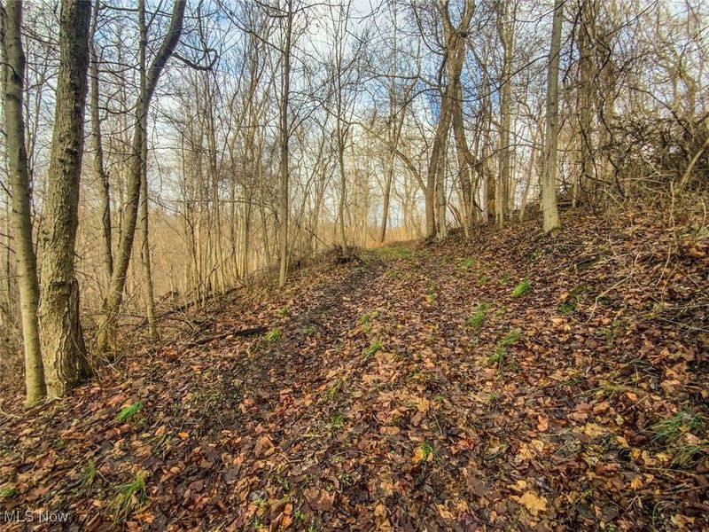 0 New Cut Rd, Shadyside, OH 43947 Photo 9