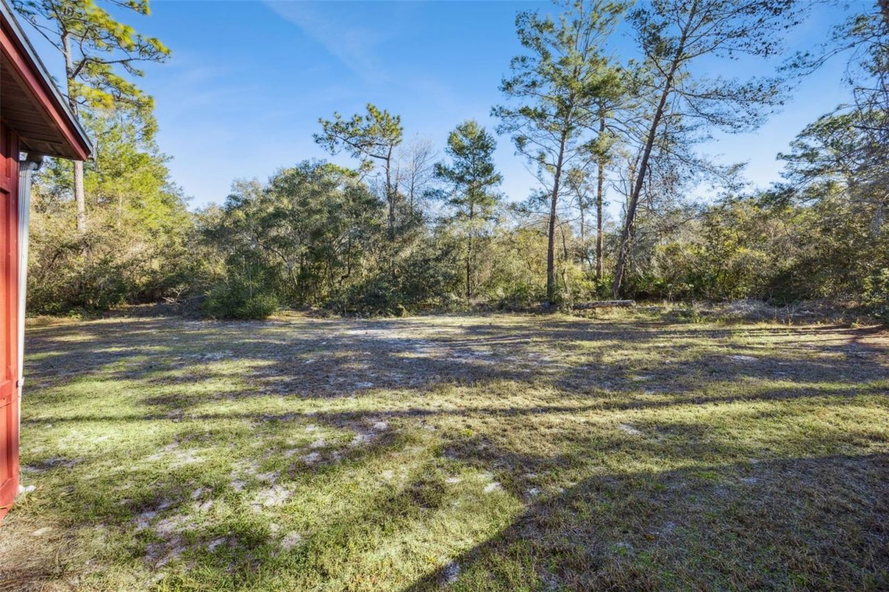 175 Bull Run Avenue, Osteen, FL 32764 Photo