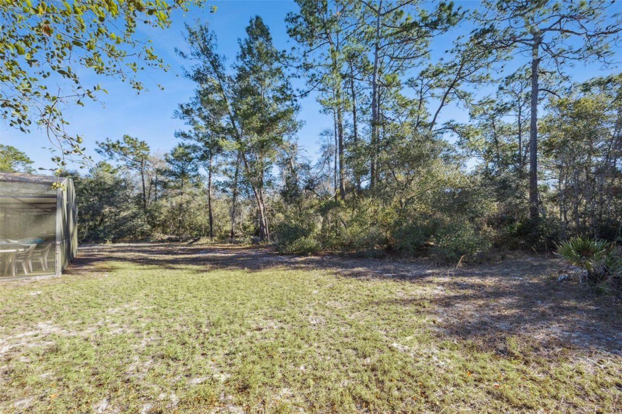 175 Bull Run Avenue, Osteen, FL 32764 Photo