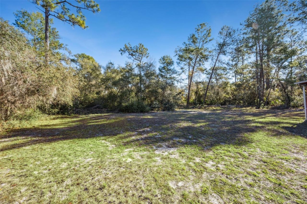 175 Bull Run Avenue, Osteen, FL 32764 Photo