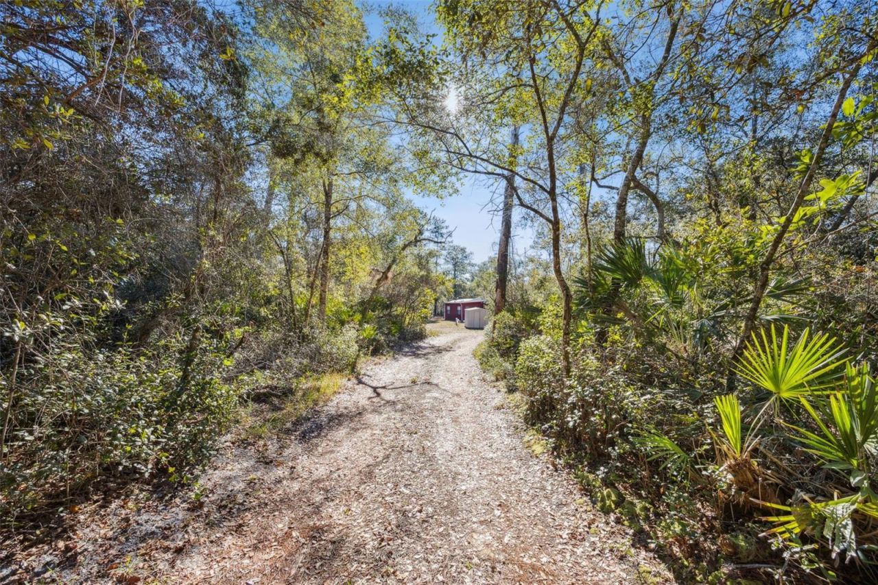 175 Bull Run Avenue, Osteen, FL 32764 Photo