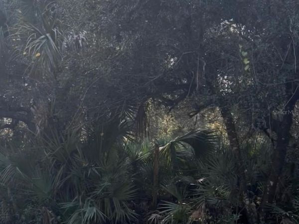 00 DILL ROAD, ORLANDO, FL 32820