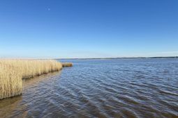 46 Oak Bay Dr.  photo 4