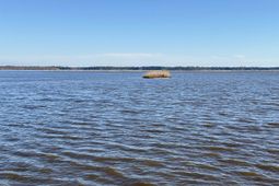 46 Oak Bay Dr.  photo 4