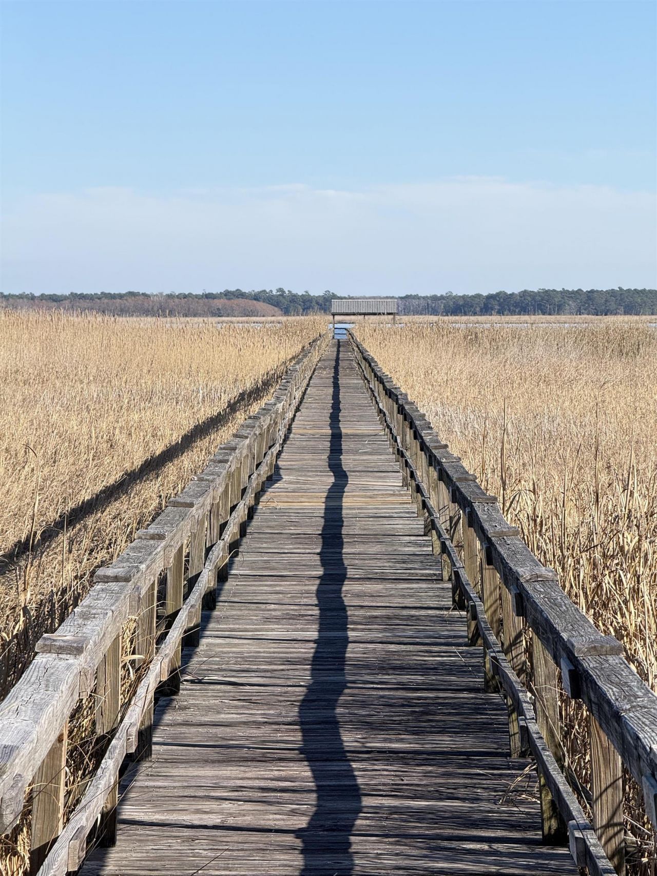 46 Oak Bay Dr.  Photo 8