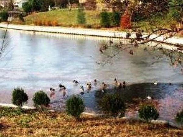 960 JAMESTOWN ROAD, HIGHTSTOWN, NJ 08520