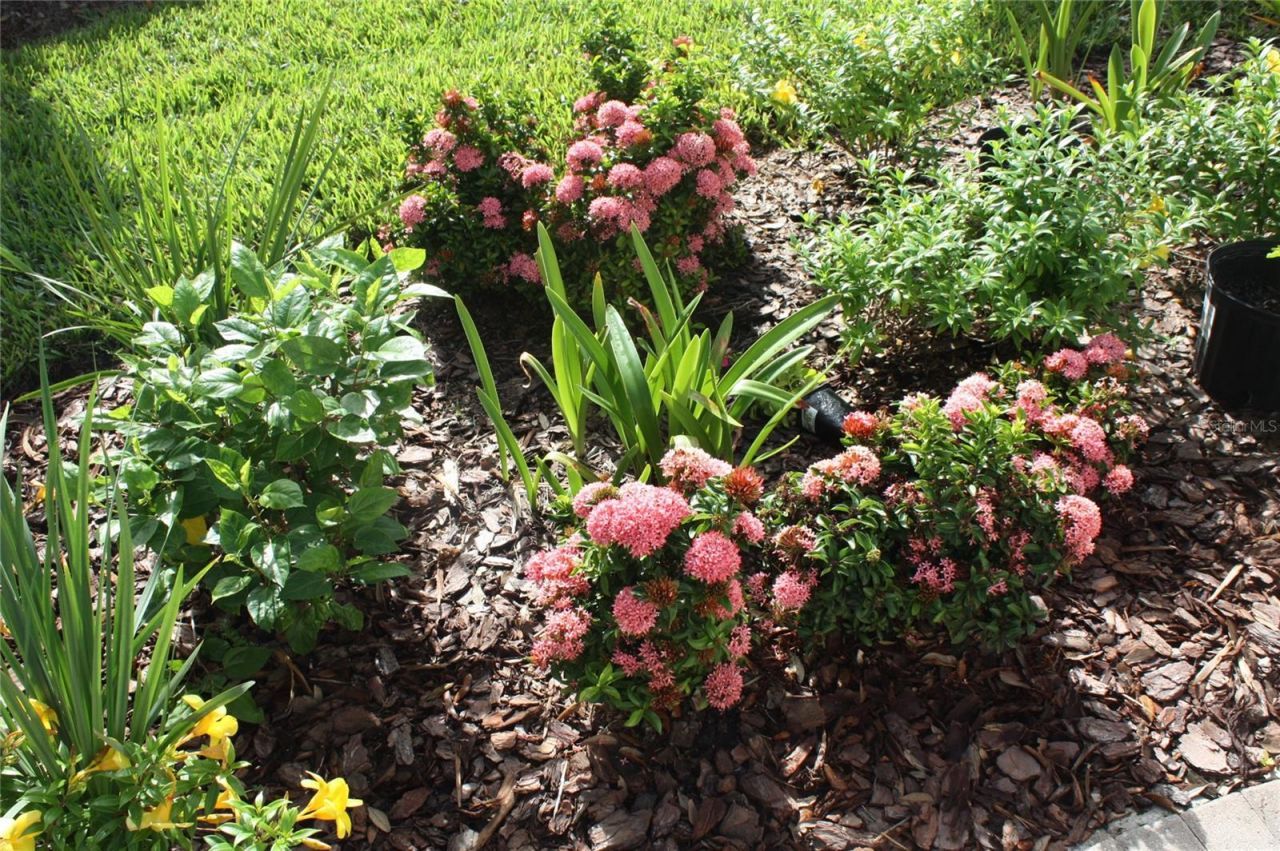 4482 Waterscape Lane, Fort Myers, FL 33966 Photo