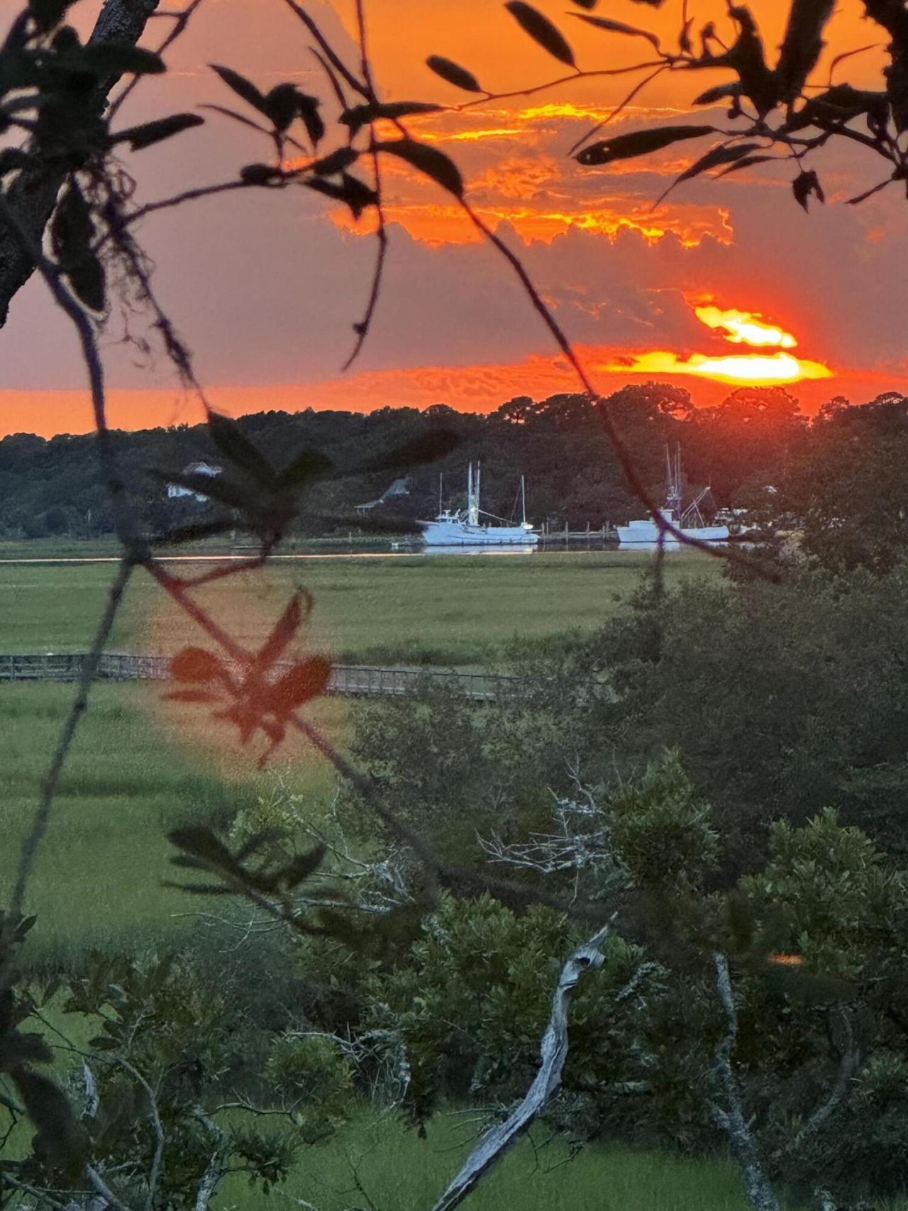 2416 Racquet Club Drive Photo 30