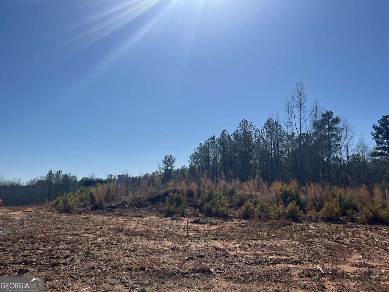 Lot 21 Piney Wood Drive, Unit 21, Newnan, GA 30263 Main Photo