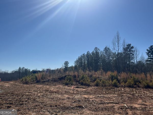 LOT 21 Piney Wood Drive, Unit 21, Newnan, GA 30263