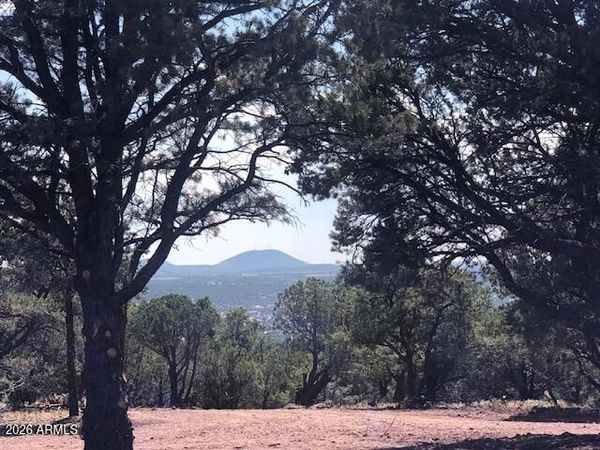 Lot 20 Mountain Pine Road, Unit 20, Vernon, AZ 85940