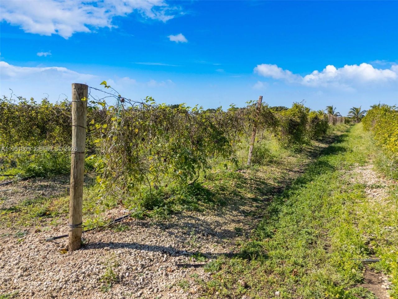 3335# SW 213 Ave , Florida City, FL 33034 Photo