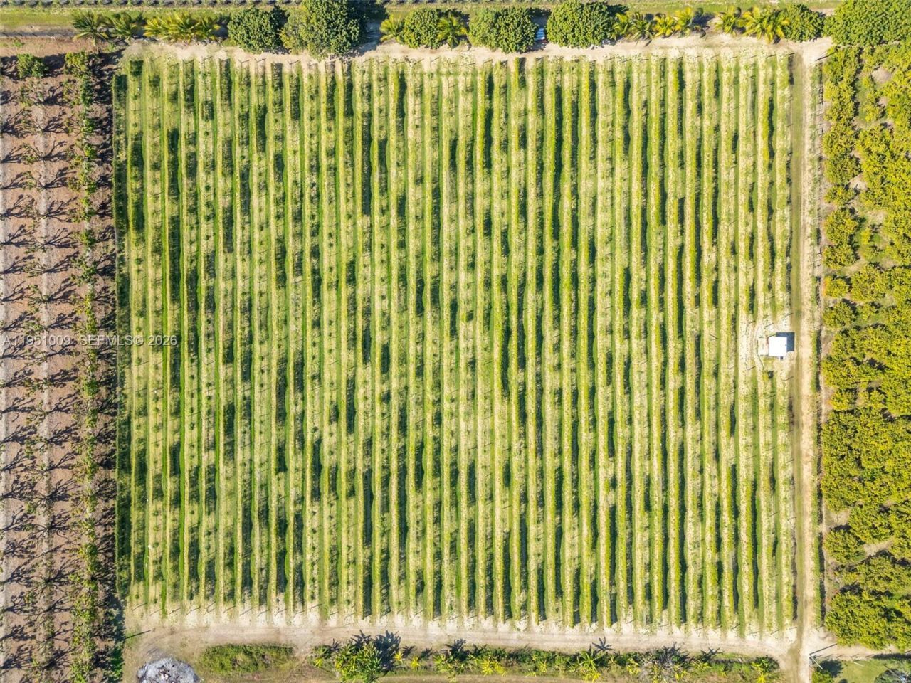 3335# SW 213 Ave , Florida City, FL 33034 Photo