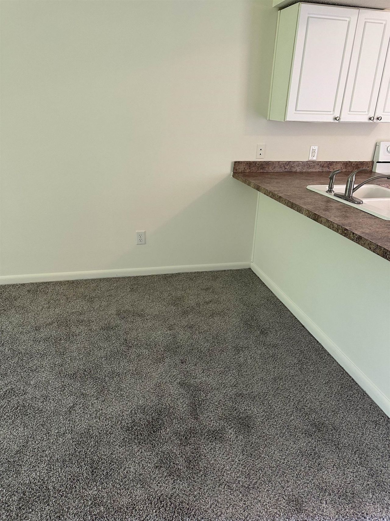 3555 Highway 544 Photo 4