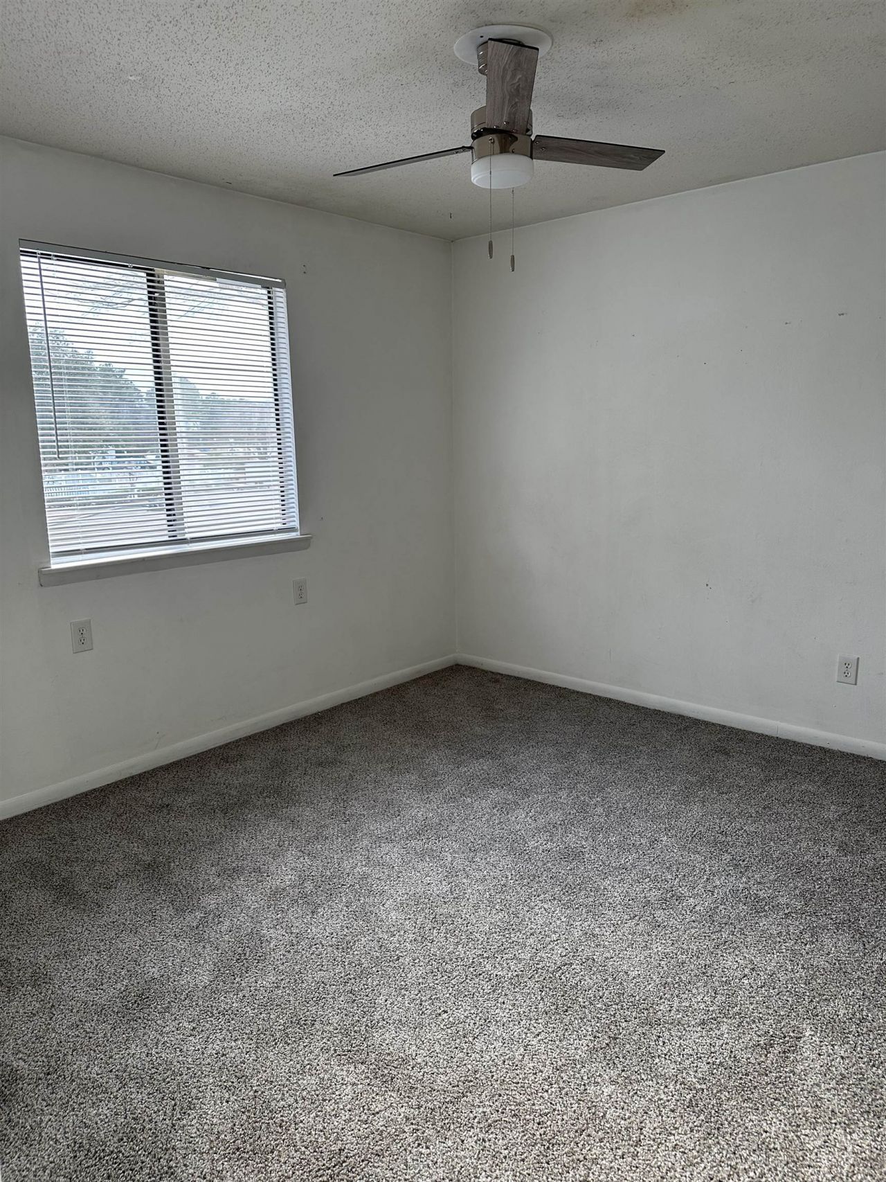 3555 Highway 544 Photo 8