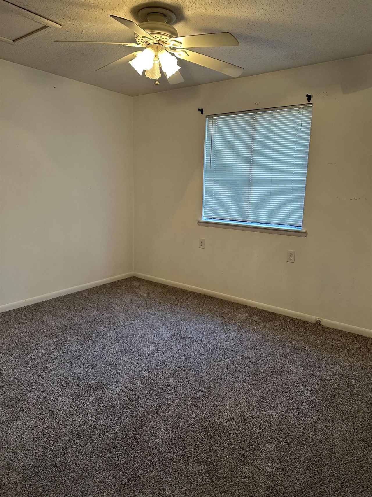 3555 Highway 544 Photo 9