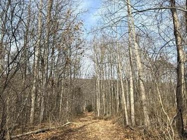 CORNER OF POPLAR RIDGE LN & MOUNTAIN RD, DAUPHIN, PA 17018