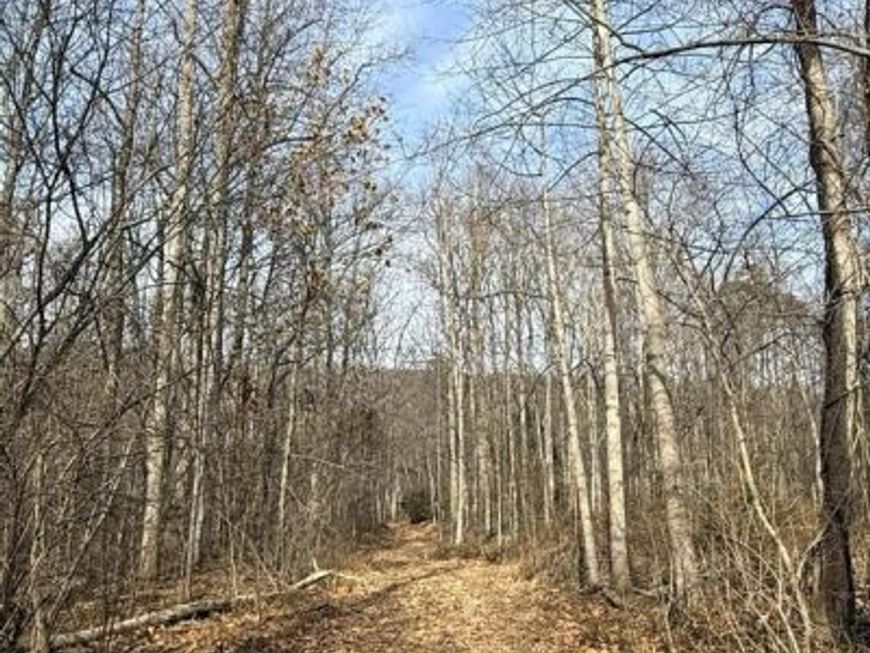 Corner Of Poplar Ridge Ln & Mountain Rd, Dauphin, PA 17018 Main Photo