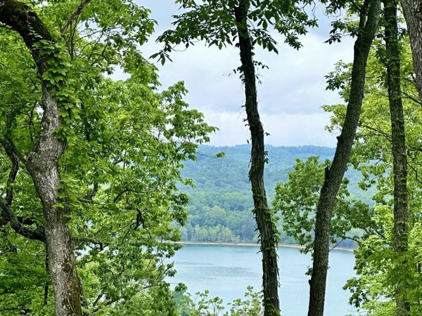 Lot 731 Russell Brothers Rd, Sharps Chapel, TN 37866