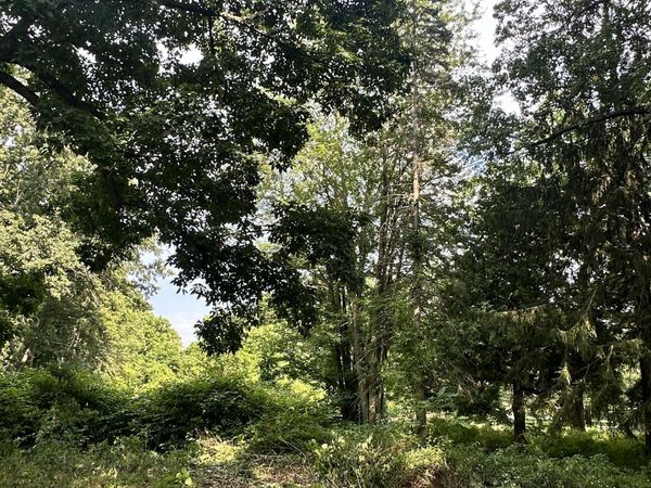 12800 Minges Road S, Battle Creek, MI 49015