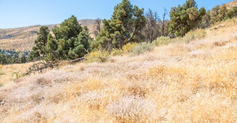 3221 Reese Lane, Gardnerville, NV 89410 Photo