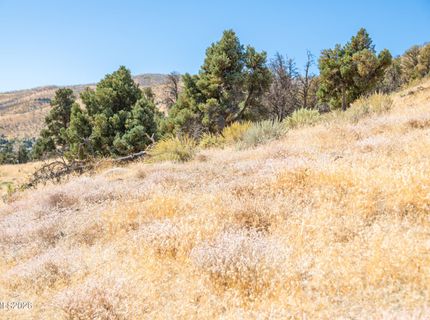 3221 Reese Lane, Gardnerville, NV 89410 Photo