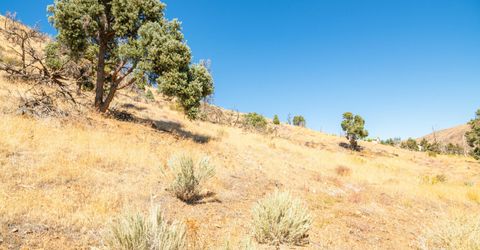 3221 Reese Lane, Gardnerville, NV 89410 Photo