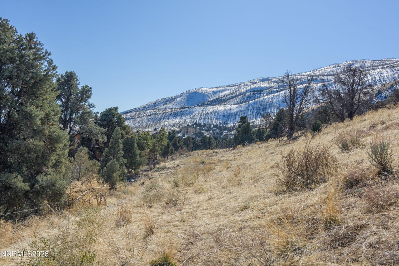 3221 Reese Lane, Gardnerville, NV 89410 Photo