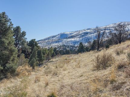 3221 Reese Lane, Gardnerville, NV 89410 Photo