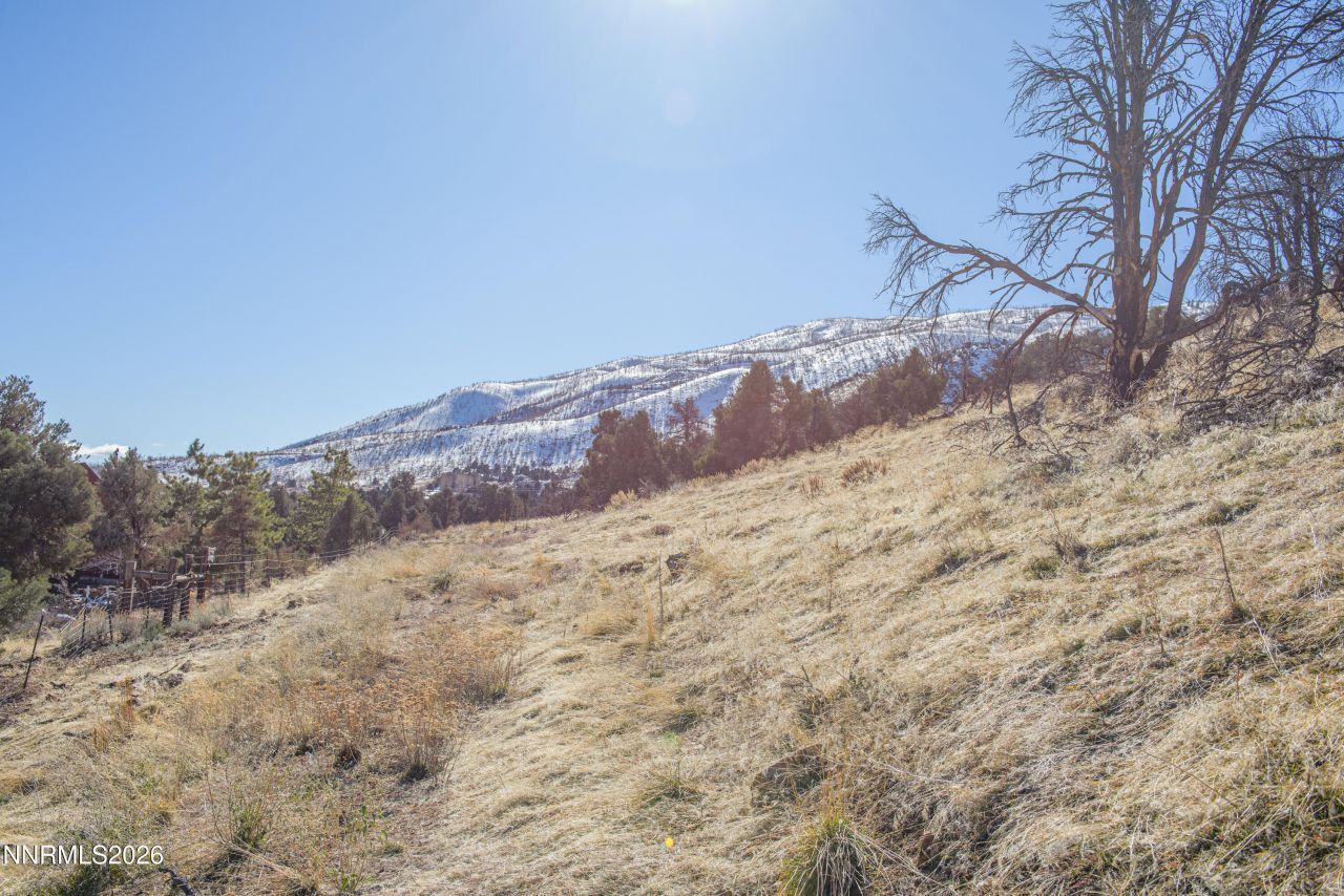 3221 Reese Lane, Gardnerville, NV 89410 Photo