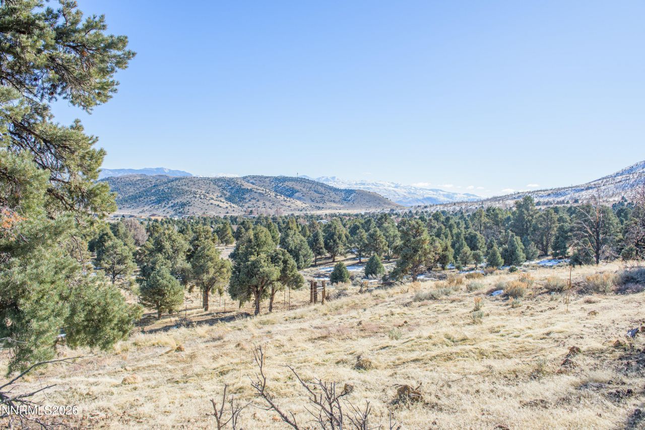 3221 Reese Lane, Gardnerville, NV 89410 Photo