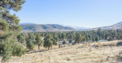 3221 Reese Lane, Gardnerville, NV 89410 Photo