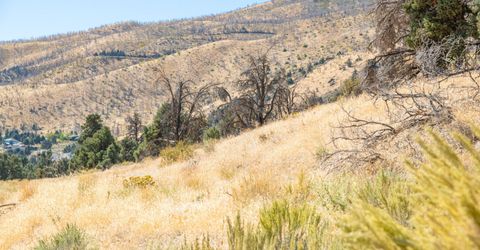 3221 Reese Lane, Gardnerville, NV 89410 Photo