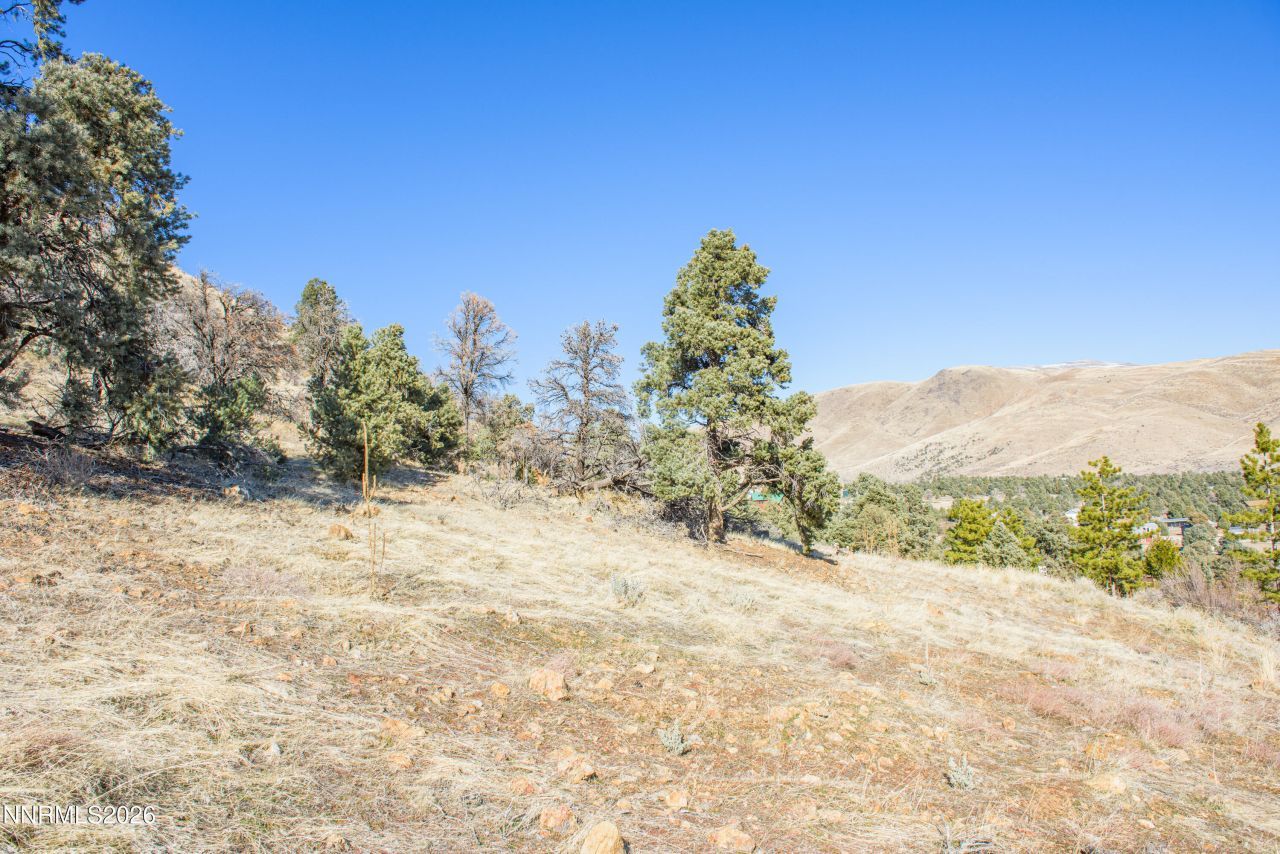 3221 Reese Lane, Gardnerville, NV 89410 Photo