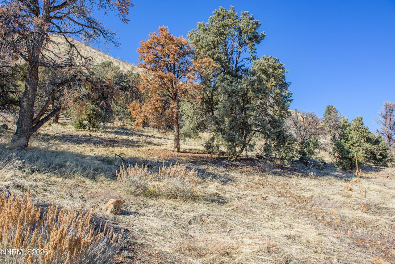 3221 Reese Lane, Gardnerville, NV 89410 Photo