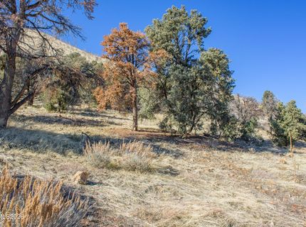 3221 Reese Lane, Gardnerville, NV 89410 Photo