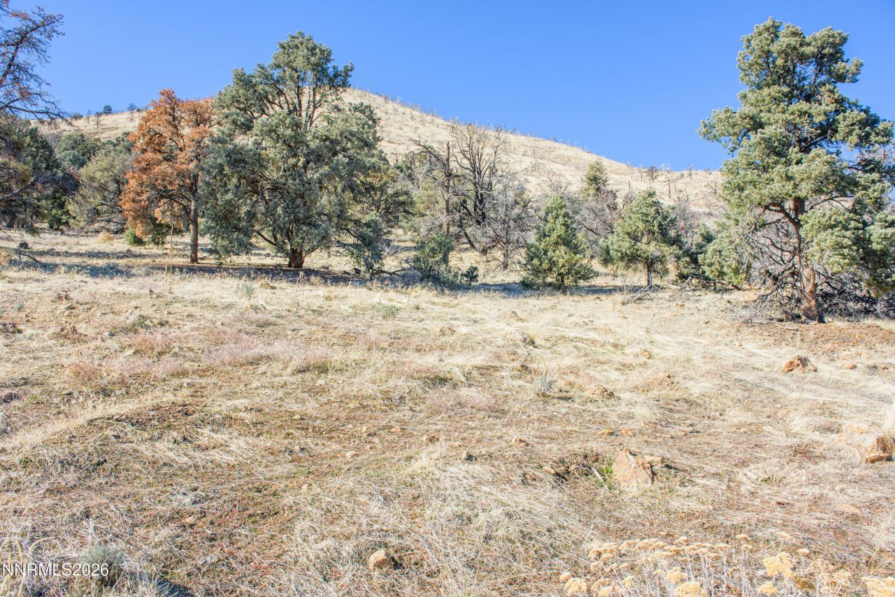 3221 Reese Lane, Gardnerville, NV 89410 Photo