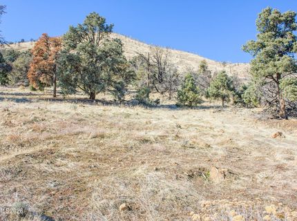 3221 Reese Lane, Gardnerville, NV 89410 Photo