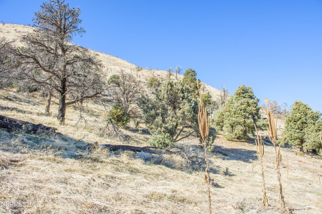 3221 Reese Lane, Gardnerville, NV 89410 Photo